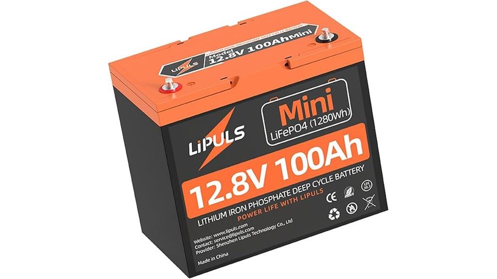 12v 100ah lifepo4 battery