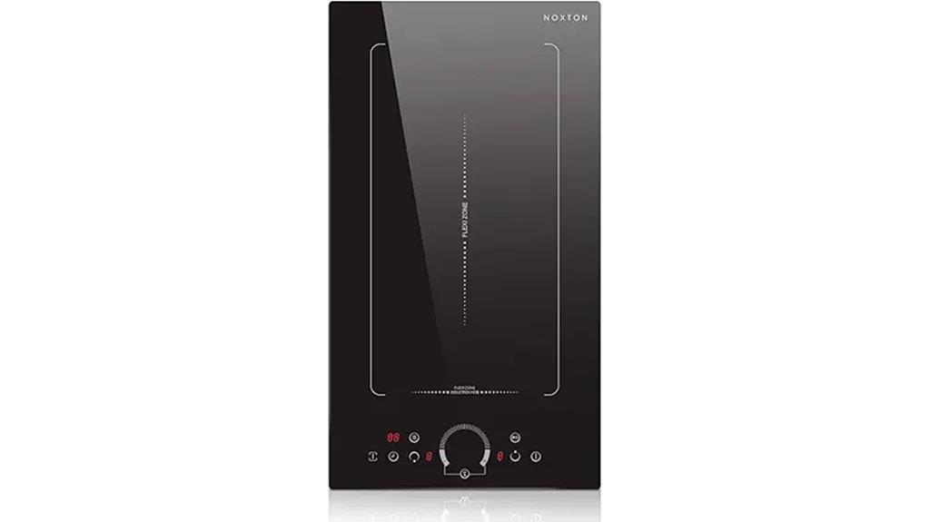 dual burner induction cooktop