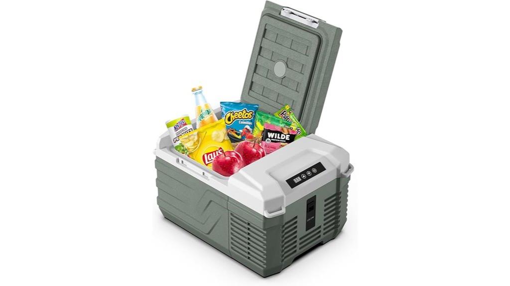 portable 12 quart cooler
