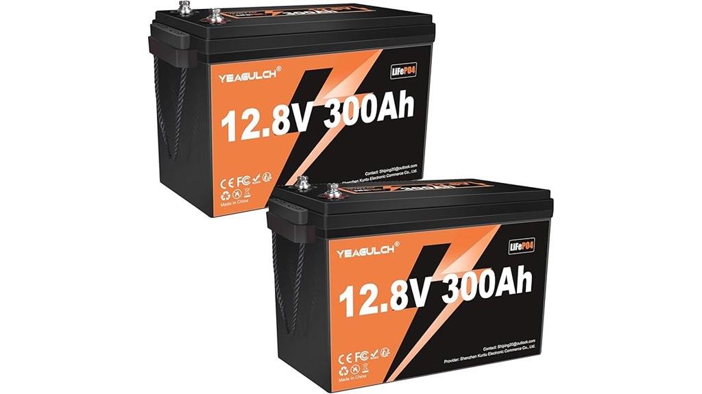 two 12v 300ah batteries