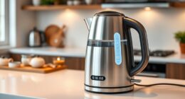 top electric kettles with temperature control