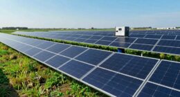 optimal solar panel requirements