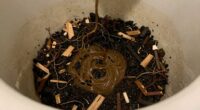 unspoken composting toilet facts