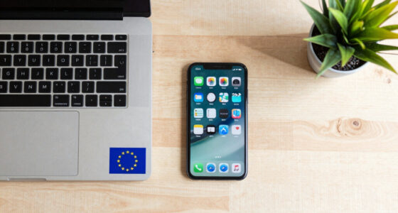 The European Union: Rules First, Cushion Always